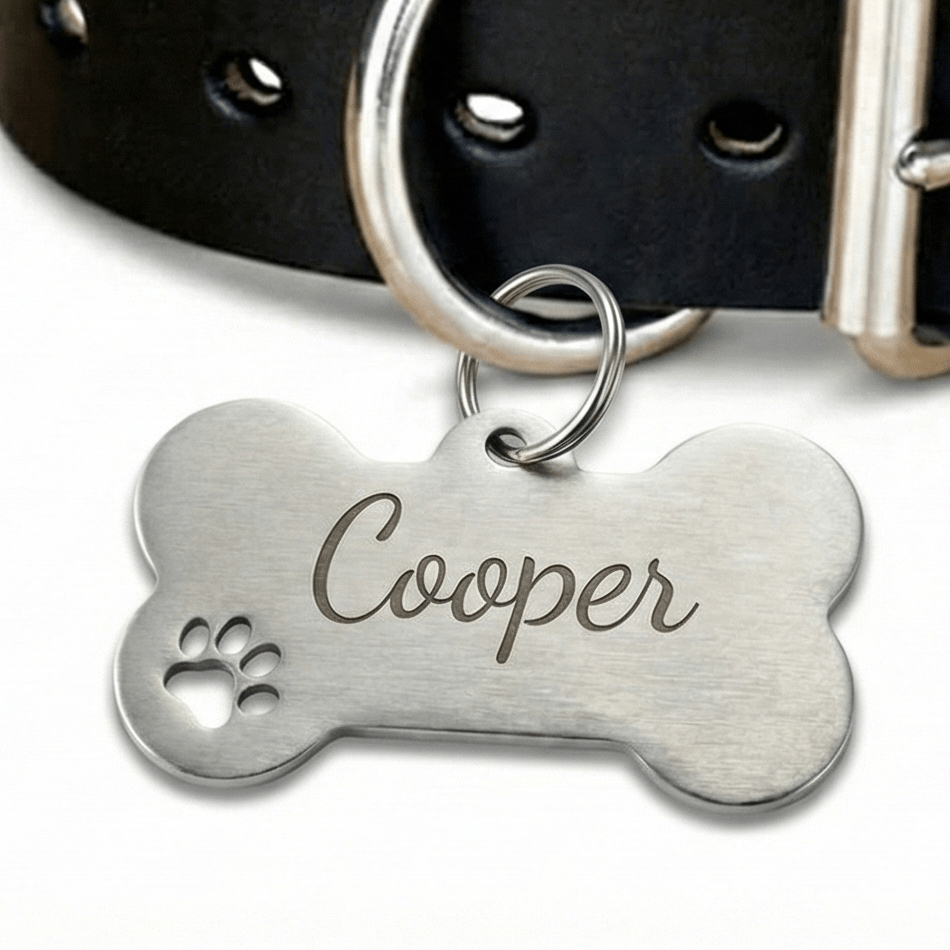Custom Pet Name Tag - Story In Steel