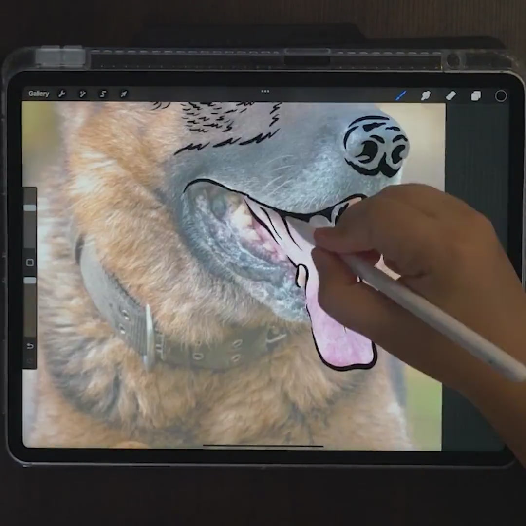 Video of an artist hand drawing a dog from its photo on a tablet, the first step of a custom pet metal portrait